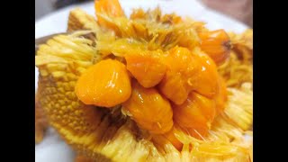 Amazing Wild Jackfruit [upl. by Evan657]