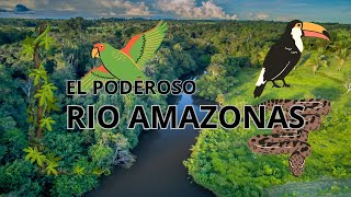 El Poderoso Río Amazonas Datos Selva y Conservación [upl. by Shakti]