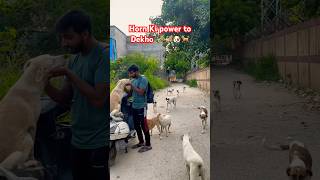 Horn Ki power toDekho 🎺🎺🐶🐕love [upl. by Arbas]