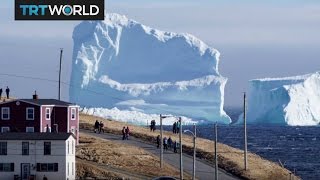 Icebergs Arrive First icebergs of the season spotted off Canada [upl. by Fisch]