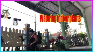 Vlog Daily Watering indoor plants [upl. by Lehmann]