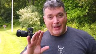 Best Gimbal Head for Wildlife Photography  Fotopro E 6HS Gimbal Head Review  Wildlife Photography [upl. by Repsac]