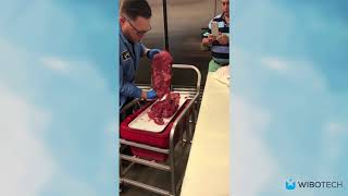 Grasselli KSL Horizontal Slicer Demo Slice Machine for Meat [upl. by Arocat]