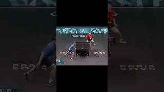 paris2024 Truls Moregard and Fan Zhendong best point tabletennis fanzhendong trulsmoregard [upl. by Wren]