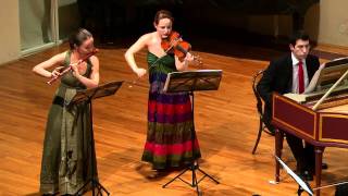 JSBach  Brandenburg Concerto No5 in D BWV1050  Croatian Baroque Ensemble [upl. by Nisa]