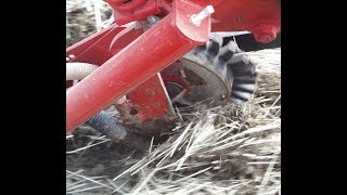 USDAARS Residue Management Wheel for NoTill Drills and Planters  Operation Video amp Trials Results [upl. by Eylatan]