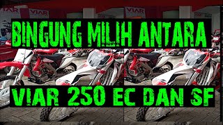 Perbandingan Viar 250 EC atau Viar 250 SF [upl. by Orsini]