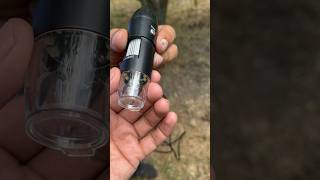 Portable mini microscope for checking insects on plant leaves [upl. by Flavian527]