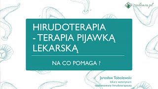 Na co pomaga terapia pijawką lekarską Hirudoterapia  Jarosław Tobolewski  dypl hirudoterapeuta [upl. by Lewert29]