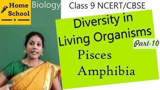 Diversity in living organismsclass 9part 10biologyHomeSchoolChannel [upl. by Annawal37]