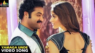 Shakti Songs  Yamaga Unde Video Song  Jr NTR Ileana  Sri Balaji Video [upl. by Akaya]