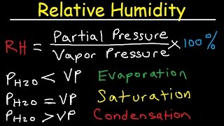 Relative Humidity  Dew Point Vapor amp Partial Pressure Evaporation Condensation  Physics [upl. by Eimirej]