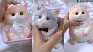 Does it resemble a real catcat squishable squishy squishysensation [upl. by Oir]