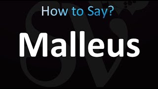 How to Pronounce Malleus CORRECTLY [upl. by Toms]