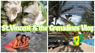 TRAVEL VLOG TO ST VINCENT SUPRISING FAMILY stvincentandthegrenadines travelvlog vacation vincy [upl. by Wesley]