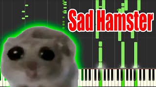 Sad Hamster but its MIDI Auditory Illusion  Sad Hamster Piano sound [upl. by Yroj]