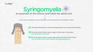 MRCP Part 1 Online Neurology Spinal Cord Anatomy [upl. by Kosel]