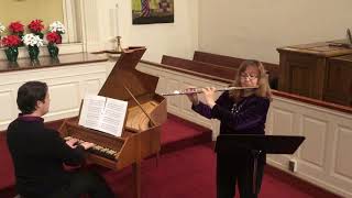 Greensleeves To A Ground for Flute Harpsichord [upl. by Ordisi]