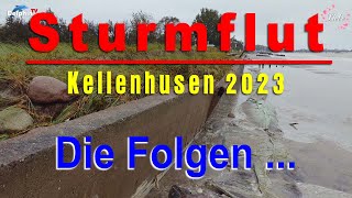 Sturmflut in Kellenhusen an der Ostsee  Oktober 2023  Die Folgen [upl. by Kenric361]