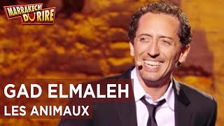 Gad Elmaleh  Les animaux  Marrakech du rire 2011 [upl. by Ozne162]