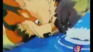 Arcanine AMV  Animal i have become [upl. by Occer]