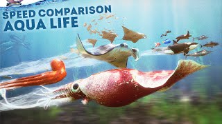 SPEED COMPARISON 3D  Aqua Life 🐠 [upl. by Nelloc]