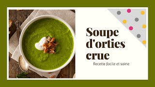 Recette de la soupe dorties crue Célia Dreams [upl. by Eirtemed176]