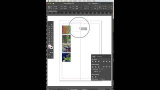 Distribute Spacing alignment  Adobe indesign indesign tricks photoshop [upl. by Leboff]