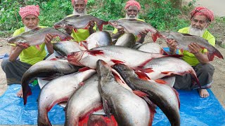 30 KG Big Pangas Fish Cutting amp Cooking by Grandpa  Panagasius Catfish Curry for Special People [upl. by Kosse]