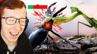 Patterrz Reacts to the Insect Tier List [upl. by Eylloh891]