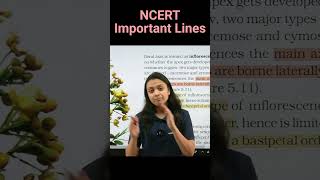 Racemose vs cymose inflorescence  NCERT important lines for NEET  Revision Biology NEET [upl. by Birch148]