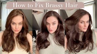 How to Get Rid of Brassy Orange Hair  Aesthetics of Olive [upl. by Ahsiekan301]