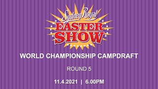 World Championship Campdraft  Round 5 [upl. by Rees42]