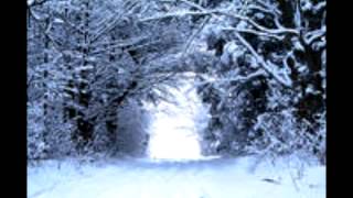 Winter Wonderland Lyrics  Eurythmics [upl. by Oinotnas979]