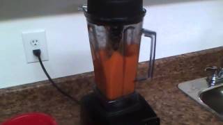 How to make Carrot Juice in the Vitamix [upl. by Spoor]