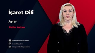 İşaret Dili  Aylar [upl. by Ennairej]