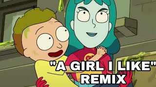 A Girl I Like  Rick and Morty Remix  Morty Beth And Planetina [upl. by Attehcram]