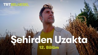 Şehirden Uzakta  AntalyaKaravca Köyü  TRT Belgesel [upl. by Led]