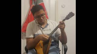 Bit of random balalaika practise Passacaglia [upl. by Mcmath]