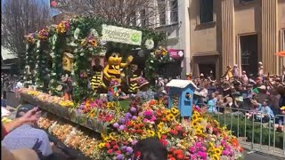 2023 Toowoomba Carnival of Flowers Parade Highlights [upl. by Eiznikam]