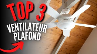 Meilleur Ventilateur de Plafond 2024 [upl. by Pang406]