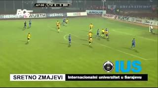 Lithuania 01 Bosnia and Herzegovina Goal Vedad Ibisevic for the World Cup 2014 [upl. by Hannan]