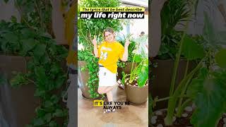 FRIENDS lyrics best describe my life right now 😂 friends shorts explore [upl. by Kinemod]