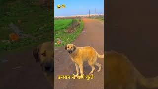 कुत्ते और इन्सान में फर्क क्या है देखो 🦮🧙comedy funny shortvideo [upl. by Aletha]