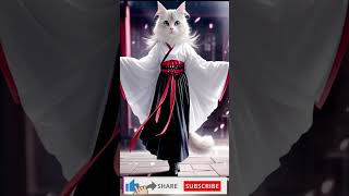 Cat Chennai magical dress CatChennai MagicalDress ChennaiDiaries MagicInChennai ExploreWithCat [upl. by Hgierb238]