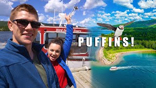 WE SAW PUFFINS Seaweed amp Sod And Bird Island Tours  Cape Breton  Nova Scotia [upl. by Leigh]