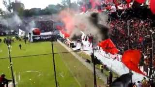 DALE CAMPEON GRACIAS NEWELLS [upl. by Dnalyk]