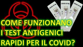 TEST ANTIGENICI RAPIDI PER IL COVID COME FUNZIONANO  Test a flusso laterale  Immunocromatografia [upl. by Goldie]