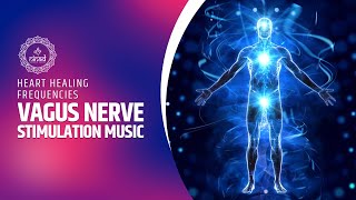 Vagus Nerve Stimulation Music for Heart Wellness  Heart Healing Frequencies [upl. by Eenolem]