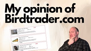 Buying birds of prey from the birdtrader website  a guide and my opinion  Falconry advice [upl. by Verene427]